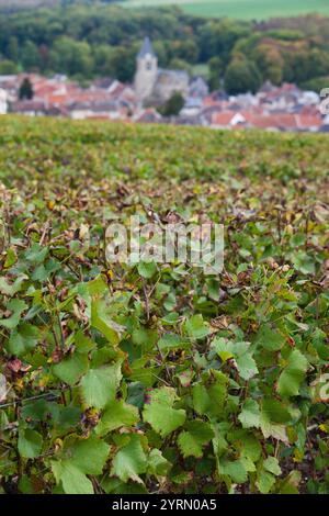 France, Marne, Champagne Ardenne, Avenay Val-d'Or, aperçu de la ville Banque D'Images