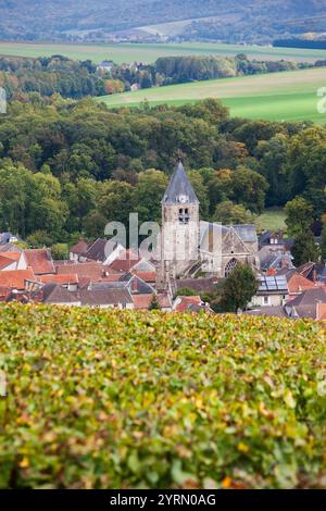 France, Marne, Champagne Ardenne, Avenay Val-d'Or, aperçu de la ville Banque D'Images