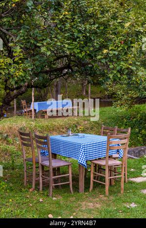 Table avec nappe à carreaux bleue et chaises en bois à l'ombre au bord de la rivière Gradac en Serbie. Banque D'Images