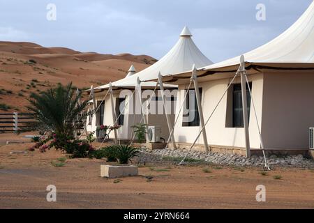 Bougainvillea Palm et Aloe Vera Desert Nights Camp Wahabi Sands Oman Banque D'Images