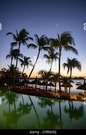 Reflet de cocotiers et de parasols en chaume dans la piscine du Royal Palms Beachcomber Luxury au crépuscule, Grand Baie, rivière du Rempart, Banque D'Images