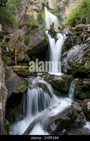 Amérique du Sud, Argentine, Patagonie, Chubut, Esquel, Los Alerces, Parc National, Banque D'Images