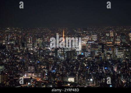 Nuit à la Tour de Tokyo, Tokyo, Japon Banque D'Images