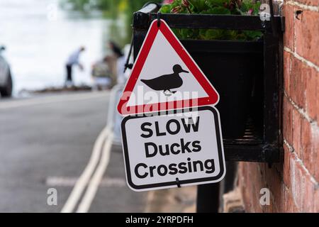 Un petit panneau indique : « Slow Ducks Crossing », avertissant les automobilistes de ne pas oublier la faune locale à Upper Arley, Worcestershire, Royaume-Uni. Banque D'Images