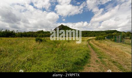 Zřícenina hradu Košťálov - ruines du château de České Středohoří / Košťálov - hauts plateaux du centre tchèque Banque D'Images