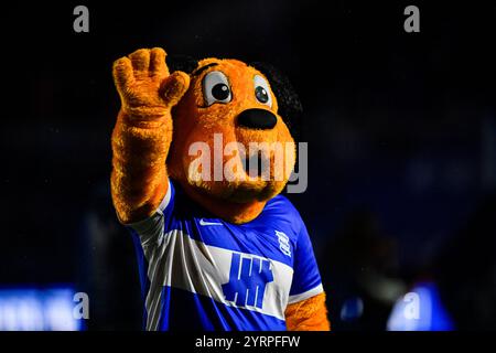 4 décembre 2024 ; St Andrews, Birmingham, West Midlands, Angleterre; EFL League One Football, Birmingham City contre Stockport County ; Birmingham City Mascot BBeau Brummie Banque D'Images