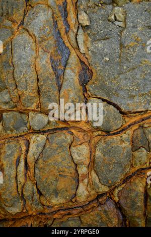 Australie, Tasmanie, Eaglehwk Neck, Forestier Peninsula, trottoir en mosaïque Banque D'Images