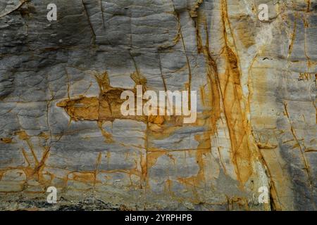 Australie, Tasmanie, Eaglehwk Neck, Forestier Peninsula, trottoir en mosaïque Banque D'Images