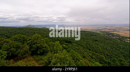 Zřícenina hradu Košťálov - ruines du château de České Středohoří / Košťálov - hauts plateaux du centre tchèque Banque D'Images