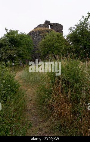 Zřícenina hradu Košťálov - ruines du château de České Středohoří / Košťálov - hauts plateaux du centre tchèque Banque D'Images