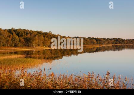 Ambiance du soir au Rederangsee, parc national de Mueritz, Mecklenburg-Vorpommern, Allemagne Banque D'Images