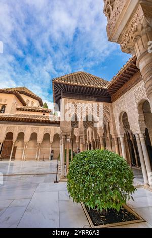 Grenade, Espagne - 22 novembre 2022 : Banque D'Images