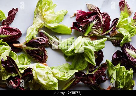 Feuilles de salade rouges et vertes Banque D'Images