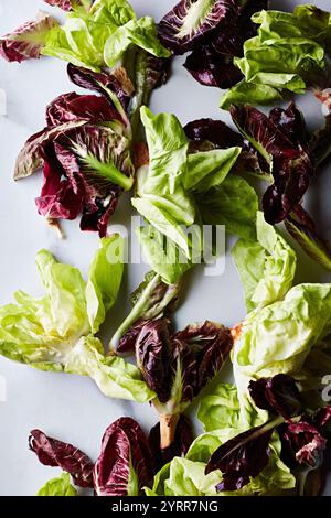 Feuilles de salade rouges et vertes Banque D'Images