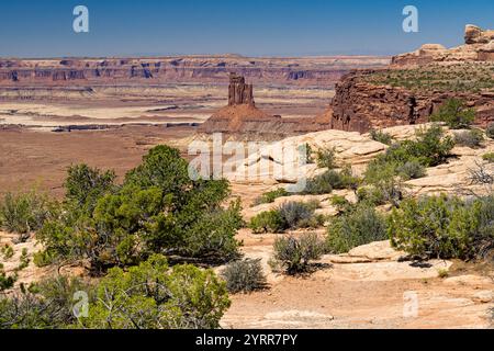 Vue panoramique depuis le Candlestick Tower Overlook dans l'île dans le quartier Sky du parc national de Canyonlands, Utah Banque D'Images