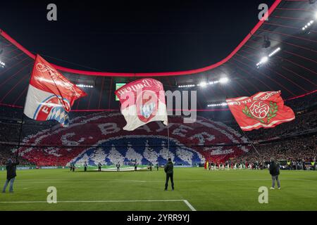 Choréo, chorégraphie, action en éventail, drapeaux, drapeau ondulant, intérieur, DFB Cup round of 16, Allianz Arena, Munich, Bavière, Allemagne, Europe Banque D'Images