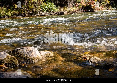 Une rivière avec beaucoup de rochers dedans. L'eau est brune et les rochers sont dispersés dans toute la rivière Banque D'Images