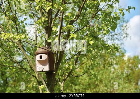 05.05.2019. Maison à oiseaux dans un arbre. Mahlow. Municipalité de Blankenfelde-Mahlow, Brandebourg, Allemagne, Europe Banque D'Images