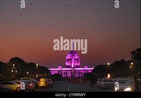 New Delhi, Inde. 03 décembre 2024. NEW DELHI, INDE - 3 DÉCEMBRE : illuminé Rashtrapati Bhawan en violet marquant la Journée internationale des personnes handicapées le 3 décembre 2024 à New Delhi, Inde. (Photo de Arvind Yadav/Hindustan Times/Sipa USA) crédit : Sipa USA/Alamy Live News Banque D'Images