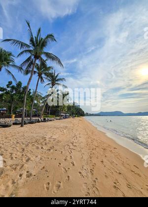 Promenez-vous le long des sables dorés de Bangsaray Thaïlande tandis que de douces vagues embrassent le rivage. Les palmiers se balancent dans la brise, créant une atmosphère sereine pour la détente et l'exploration. Banque D'Images