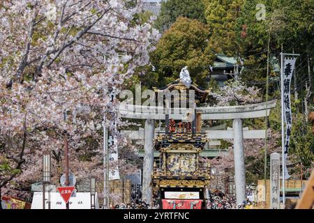 Festival d'Inuyama et Yama avec des cerisiers en fleurs Banque D'Images