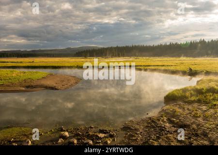 Du brouillard pend au-dessus de Pelican Creek dans Early Morning Light dans le parc national de Yellowstone Banque D'Images