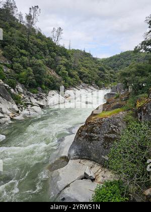 Ruée rivière de montagne coulant à travers de grands rochers et une végétation luxuriante par une journée nuageuse. Un paysage naturel paisible et intact. Banque D'Images