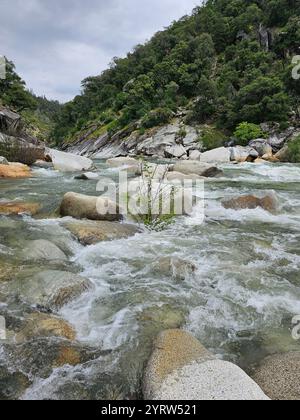 Ruée rivière de montagne coulant à travers de grands rochers et une végétation luxuriante par une journée nuageuse. Un paysage naturel paisible et intact. Banque D'Images