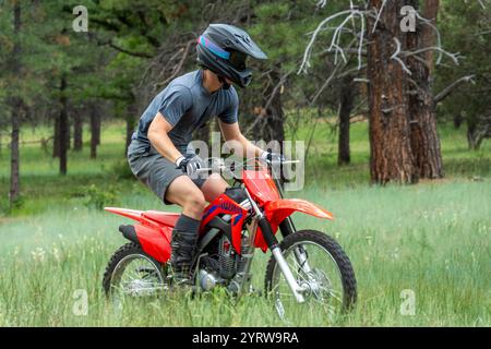 Aventure passionnante en moto tout-terrain dans un cadre forestier verdoyant Banque D'Images