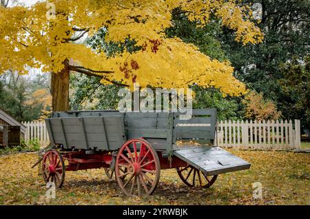 Véhicule de wagon en bois antique entouré d'arbres et de feuilles colorés de feuillage d'automne. Photo prise à Nashville Tennessee pendant la saison d'automne Banque D'Images