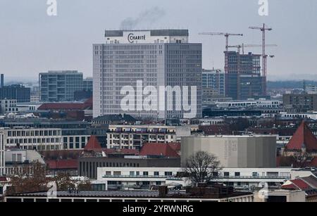 Berlin, Allemagne. 04th Dec, 2024. Le bâtiment Charite. Crédit : Jens Kalaene/dpa/Alamy Live News Banque D'Images