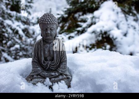 Statue de Bouddha couverte de neige au milieu d'un paysage hivernal Banque D'Images