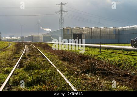 Drimmelen. Serres dans la zone horticole du Polder Plukmadese sous un ciel nuageux sombre. La chaleur résiduelle de la centrale électrique d’Amer circule ici à travers les tuyaux du réseau de chaleur exploité par l’entreprise de chauffage urbain Ennatuurlijk. En arrière-plan des éoliennes du parc industriel Weststad à Oosterhout et une ligne haute tension avec lignes électriques et mât haute tension. A gauche des serres se trouvent les rails du chemin de fer de marchandises entre Lage Zwaluwe et la zone industrielle de Weststad. ANP / Hollandse Hoogte / Eugene Winthagen pays-bas Out - belgique Out Banque D'Images