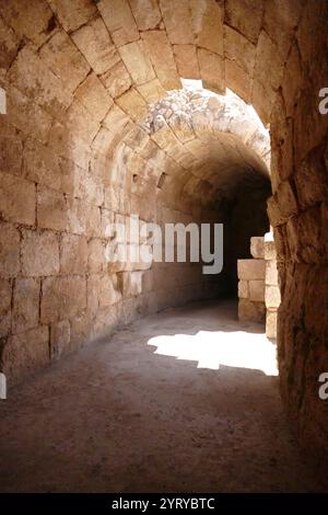 Ruines de l'amphithéâtre romain, Bayt Jibrin (Beit Guvrin), Israël. Au VIIIe siècle av. J.-C., le village faisait partie du Royaume de Juda. Après la tourmente de la première guerre judéo-romaine et la révolte de Bar Kokhba, la ville est devenue une colonie romaine florissante et un centre administratif majeur sous le nom d'Eleutheropolis. Le site a été fouillé par Victor Guérin en 1863. Banque D'Images