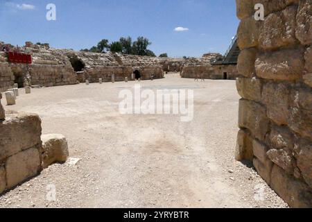 Ruines de l'amphithéâtre romain, Bayt Jibrin (Beit Guvrin), Israël. Au VIIIe siècle av. J.-C., le village faisait partie du Royaume de Juda. Après la tourmente de la première guerre judéo-romaine et la révolte de Bar Kokhba, la ville est devenue une colonie romaine florissante et un centre administratif majeur sous le nom d'Eleutheropolis. Le site a été fouillé par Victor Guérin en 1863. Banque D'Images