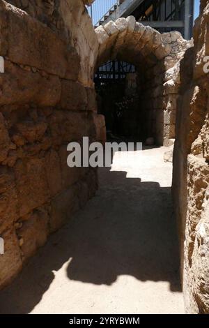 Ruines de l'amphithéâtre romain, Bayt Jibrin (Beit Guvrin), Israël. Au VIIIe siècle av. J.-C., le village faisait partie du Royaume de Juda. Après la tourmente de la première guerre judéo-romaine et la révolte de Bar Kokhba, la ville est devenue une colonie romaine florissante et un centre administratif majeur sous le nom d'Eleutheropolis. Le site a été fouillé par Victor Guérin en 1863. Banque D'Images