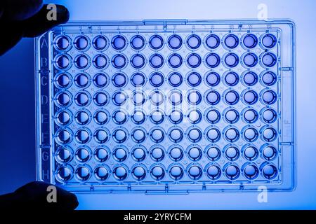 Main gantée tenant une microplaque de 96 puits, utilisée dans la recherche et l'analyse biologiques Banque D'Images