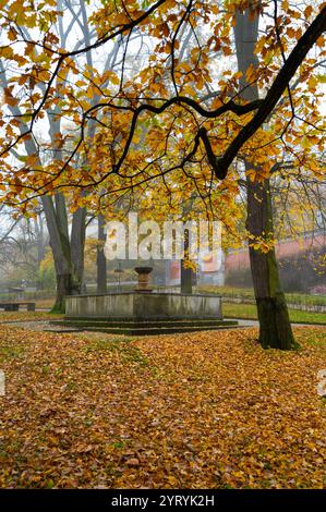 Une belle scène automnale de la fontaine en face du château de Cesky Krumlov, entouré d'arbres aux feuilles dorées, mêlant nature et archit historique Banque D'Images