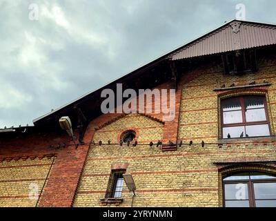 Pigeons perchés sur Brick Building sous le ciel nuageux à Riga Banque D'Images