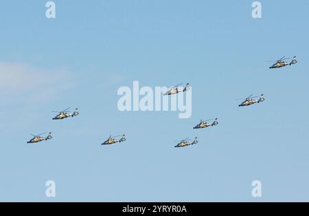 Revue de l'armée de l'air chinoise et flypast. Beijing 2019. La Force aérienne de l'Armée populaire de libération (PLAAF) est une branche de service aérien de l'Armée populaire de libération, les forces armées de la République populaire de Chine. La PLAAF a été officiellement créée le 11 novembre 1949 et elle est composée de 5 branches qui sont l'aviation, l'artillerie antiaérienne, les missiles sol-air, le radar et le corps aéroporté. En 2014, le PLAAF comptait environ 398 000 personnes Banque D'Images