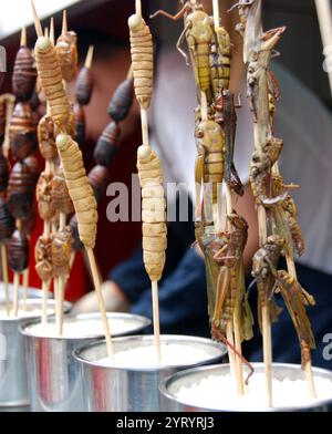 Les stands de nourriture chinois qui vendent des scorpions, des centipèdes et d’autres insectes frits ont rouvert après leur fermeture pendant 70 jours en raison de l’épidémie de coronavirus. Les vendeurs du marché nocturne quotidien de Nanning proposent divers en-cas et plats, tels que poulpe grillé, écrevisses épicées, boulettes cuites à la vapeur et gâteaux de riz. Banque D'Images