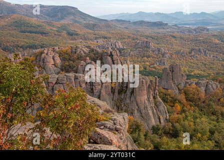 Les formations rocheuses emblématiques de Belogradchik, en Bulgarie, entourées de superbes forêts automnales et de paysages montagneux pittoresques des Balkans. Banque D'Images