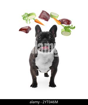Chien mignon entouré de légumes volants et de foie cru sur fond blanc. Nourriture naturelle pour animaux de compagnie Banque D'Images