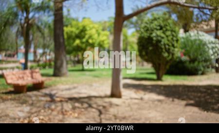 Vue défocalisée d'un parc extérieur avec arbres flous, banc, herbe et soleil éclatant Banque D'Images