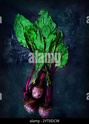 ville ville pays dat mois année Banque D'Images