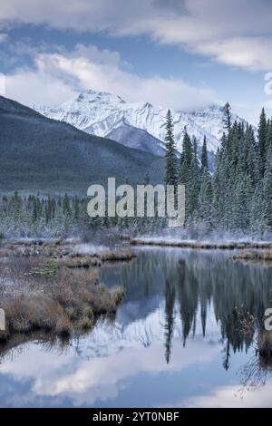 Matin de détente aux lacs Vermillion dans les Rocheuses canadiennes, parc national Banff, Alberta, Canada. Automne (octobre) 2024. Banque D'Images