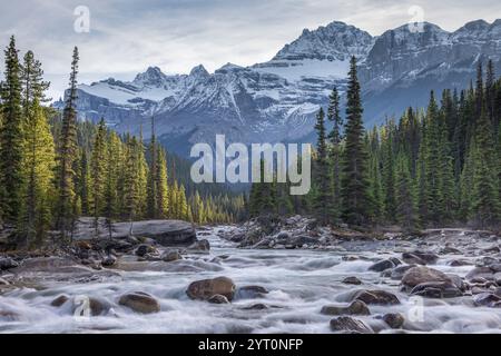 La rivière Mistaya dans les Rocheuses canadiennes, Alberta, Canada. Automne (octobre) 2024. Banque D'Images