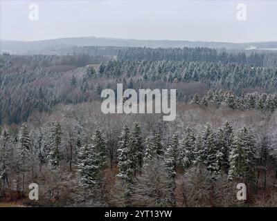 Souabe Alb en hiver avec des arbres légèrement enneigés et des montagnes en arrière-plan Banque D'Images