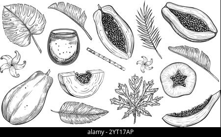 Illustration vectorielle de fruits de papaye dans un style dessiné à la main. Croquis monochrome avec tranches juteuses et feuilles de palmier. Dessin monochrome de contour de la nourriture exotique et des fleurs. Jeu de gravures. Illustration de Vecteur