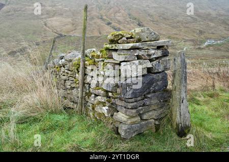 Mur de pierre sèche sombre avec poteau en bois vieilli et colline verte derrière. Banque D'Images